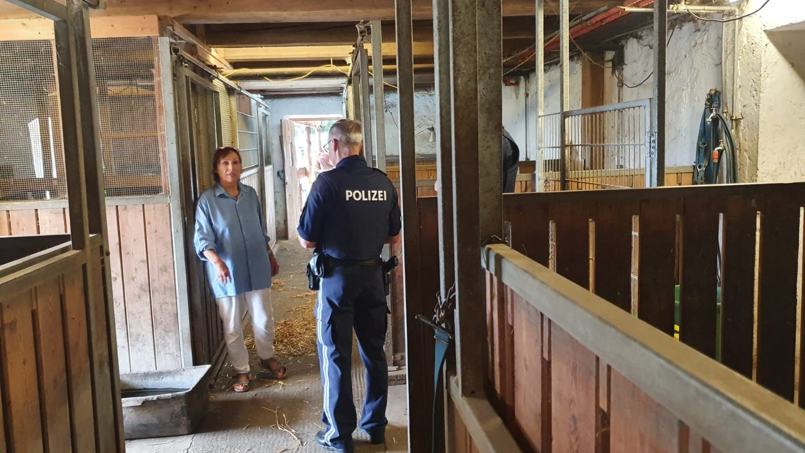 Im Tierparadies Schabenreith suchte die Polizei nach den verschwundenen Schweinen.