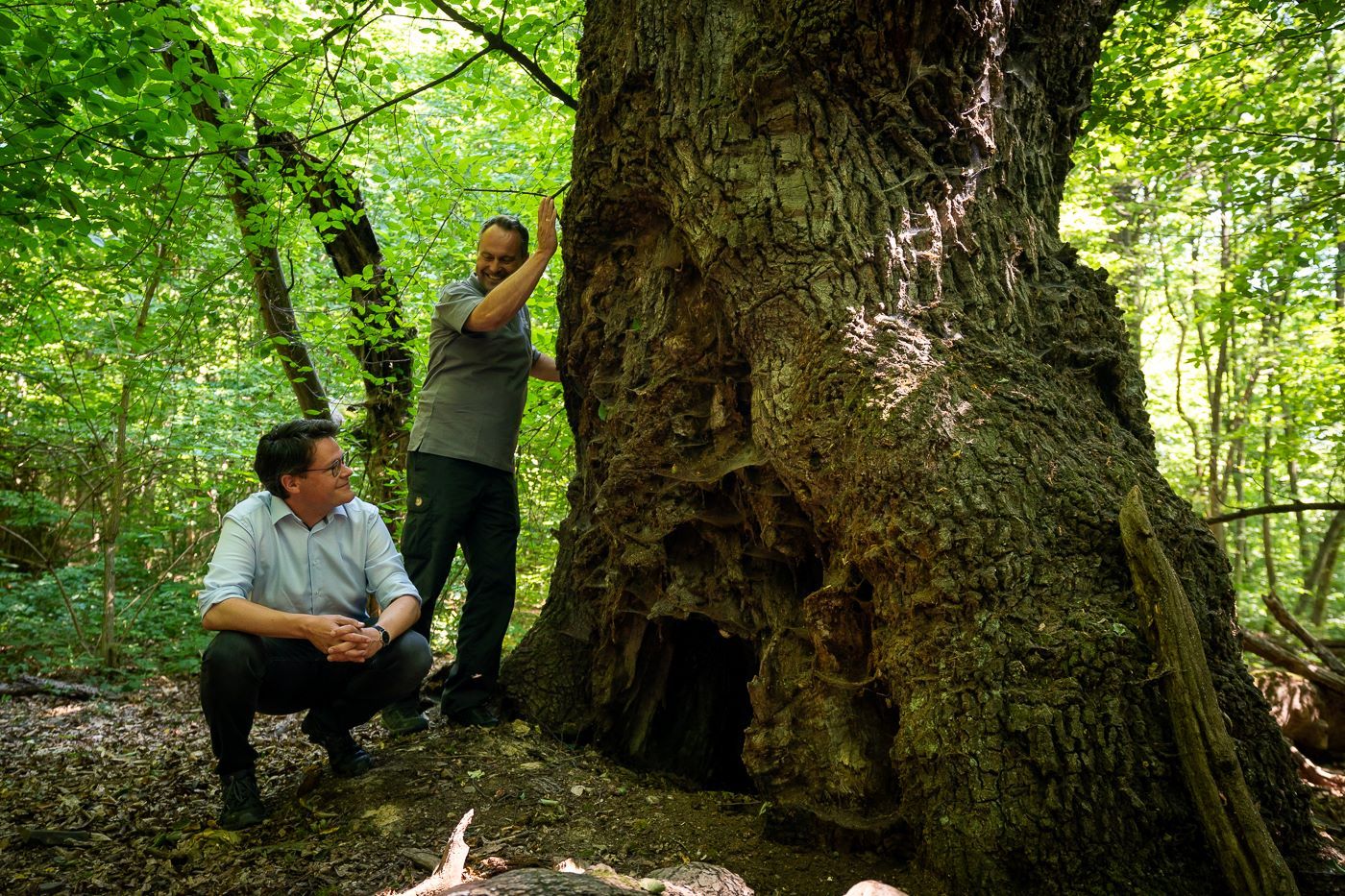 Auch in Wien steigt die Gefahr von Waldbränden. Besonders gefährdet sei etwa Liesing. "Denn hier stehen viele Schwarz- und Weißkiefern, die besonders verletzlich seien", so Forstdirektor Andreas Januskovecz (r., hier mit Klimastadtrat Jürgen Czernohorszky, SPÖ).