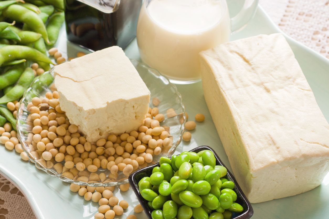 Soy Products. Soy Bean Food and Drink Products Photograph with Several Elements including loose bean,tofu, and soy milk. Full block of tofu.  Half block of tofu sitting on plate of loose soy beans. Green beans in black square bowl. Glass filled with soy milk.