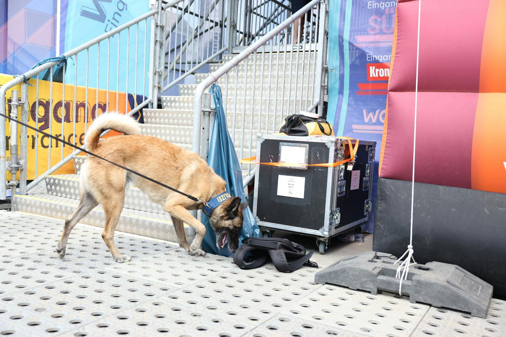 Die Wiener Polizei ist mit der Hundestaffel bei der Beach Volleyball EM mit dabei. 