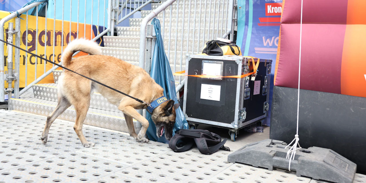 Polizei-Hunde sichern Beach Volleyball EM in Wien ab - Vimarsana News