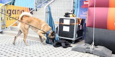 Polizei-Hunde sichern Beach Volleyball EM in Wien ab