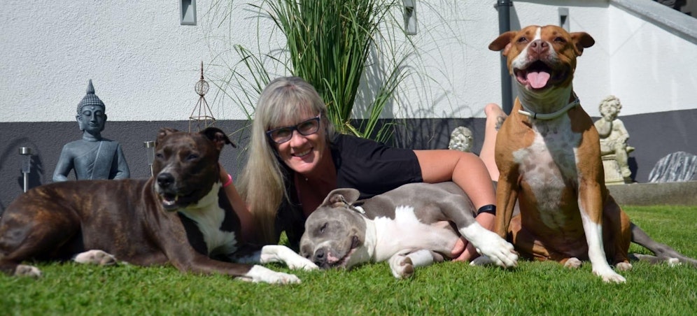 Ein Unbekannter vergiftete Hund Franky (Mi.) von Susanne Derfler aus Bad Ischl.