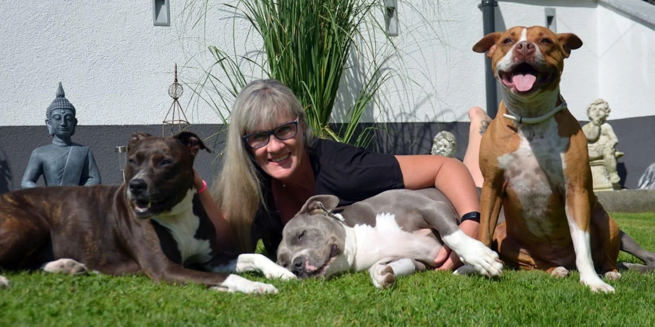 Frau klagt an: "Wer hat meinen Hund Franky vergiftet?" - Vimarsana News
