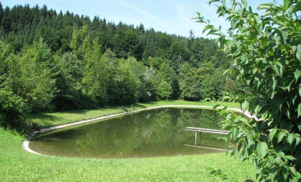 In diesem Badesee ist Baden verboten und das schon seit 42 Jahren.