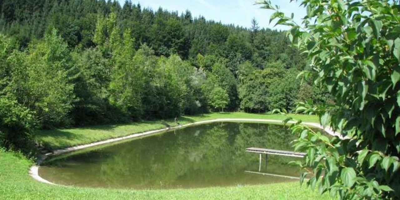 Badeverbot: Jetzt wird aus See ein Löschteich - Vimarsana News