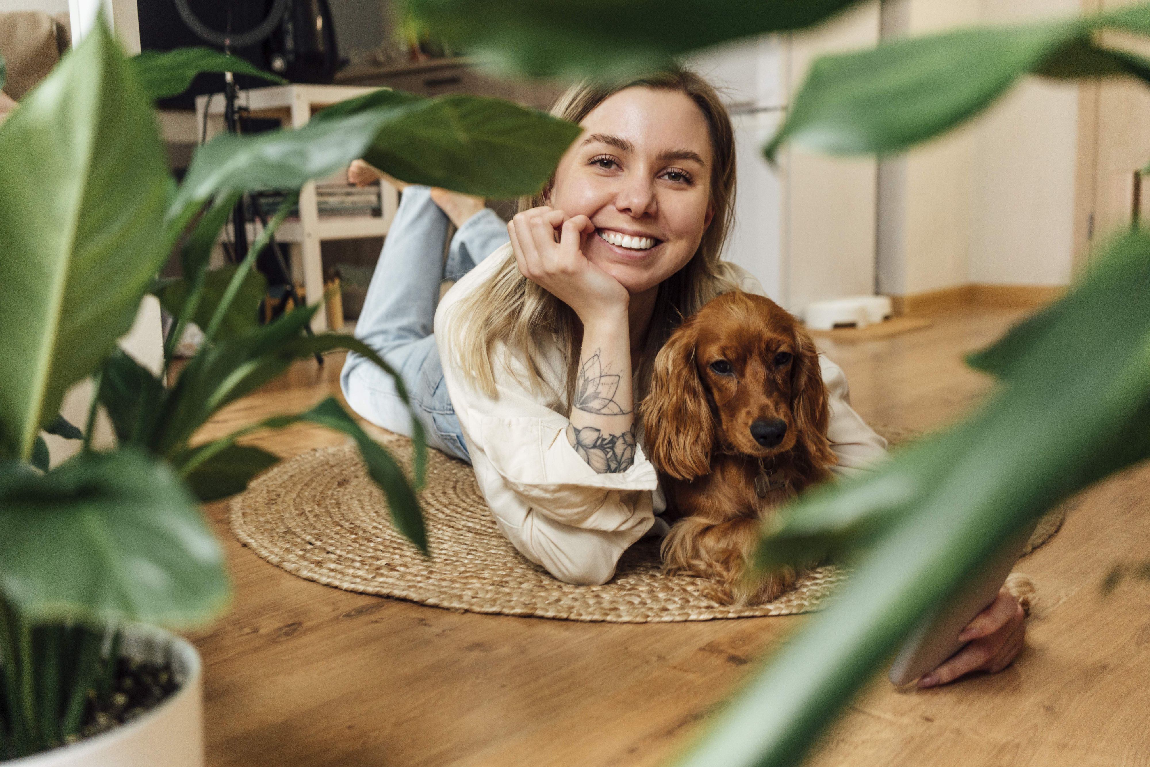 Die erste Gemeinde in Österreich hat das Prüfverfahren der Haustier-Infoplattform "Tobalie" bestanden.