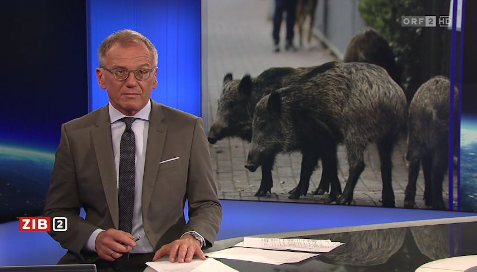 Armin Wolf über die "Wildschweinplage in Rom"