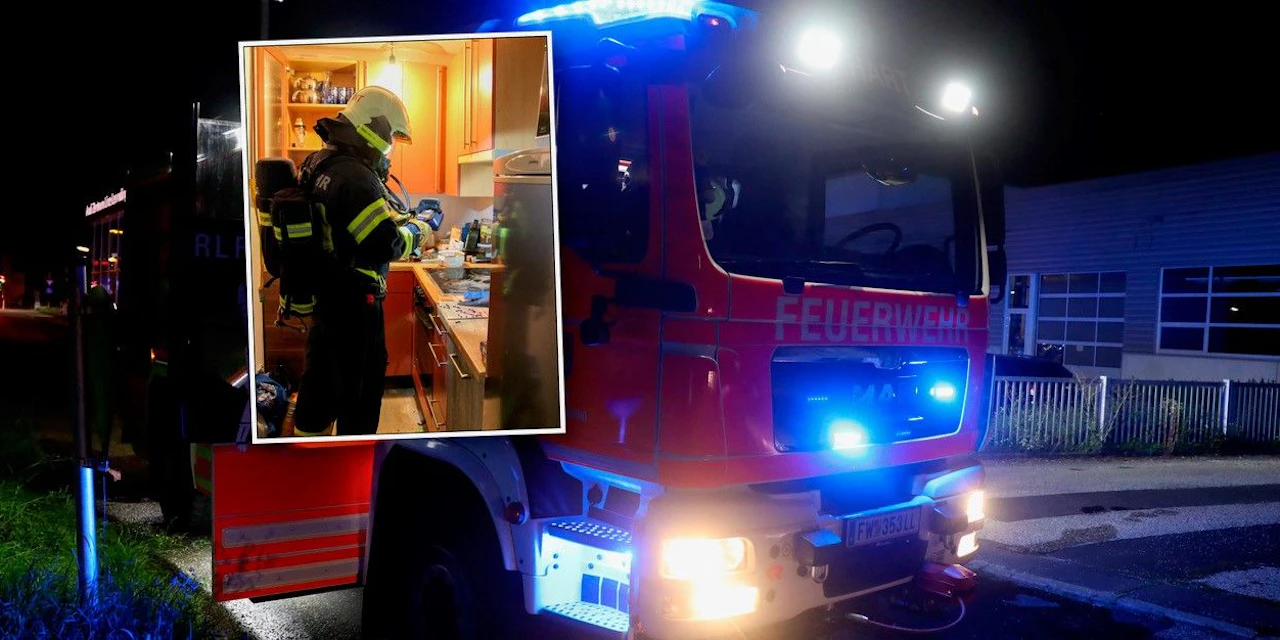 Futternapf ging in Flammen auf - Hund gerettet - Vimarsana News