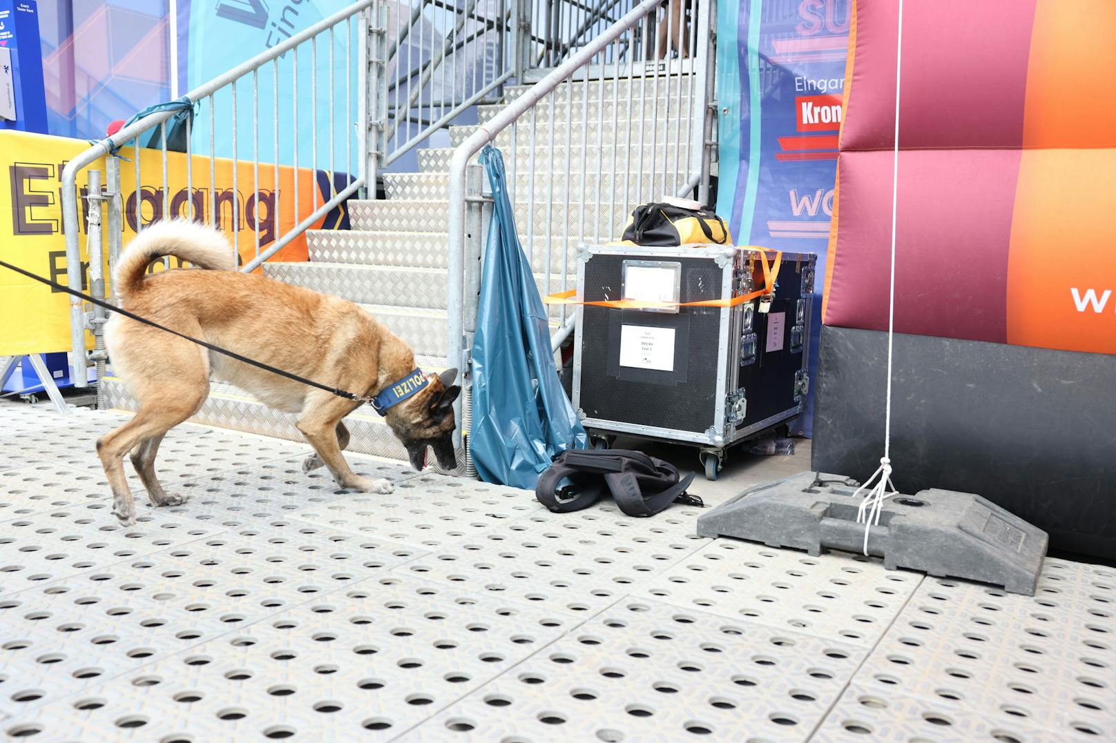 Die Wiener Polizei ist mit der Hundestaffel bei der Beach Volleyball EM mit dabei. 