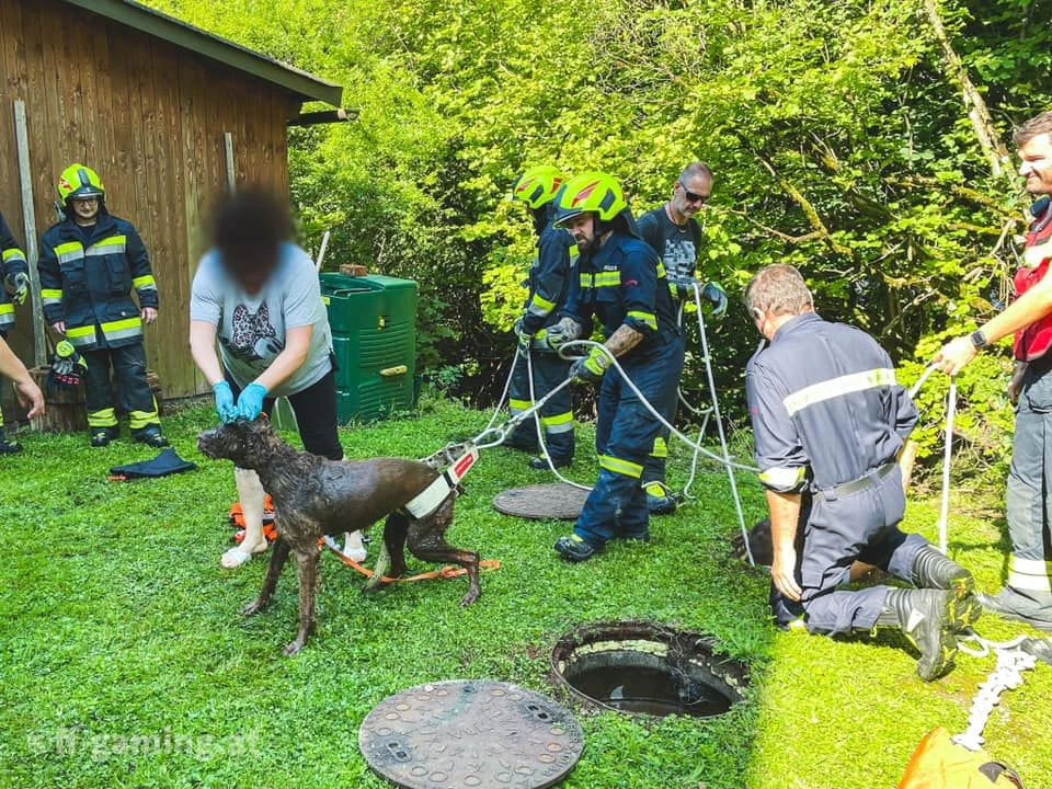 Der Hund konnte unverletzt befreit werden.