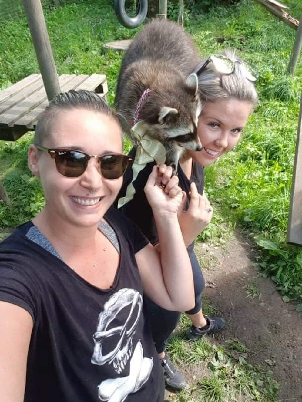 Lilith machte ihrer Jennifer (vorne) mit Hilfe von Waschbär 