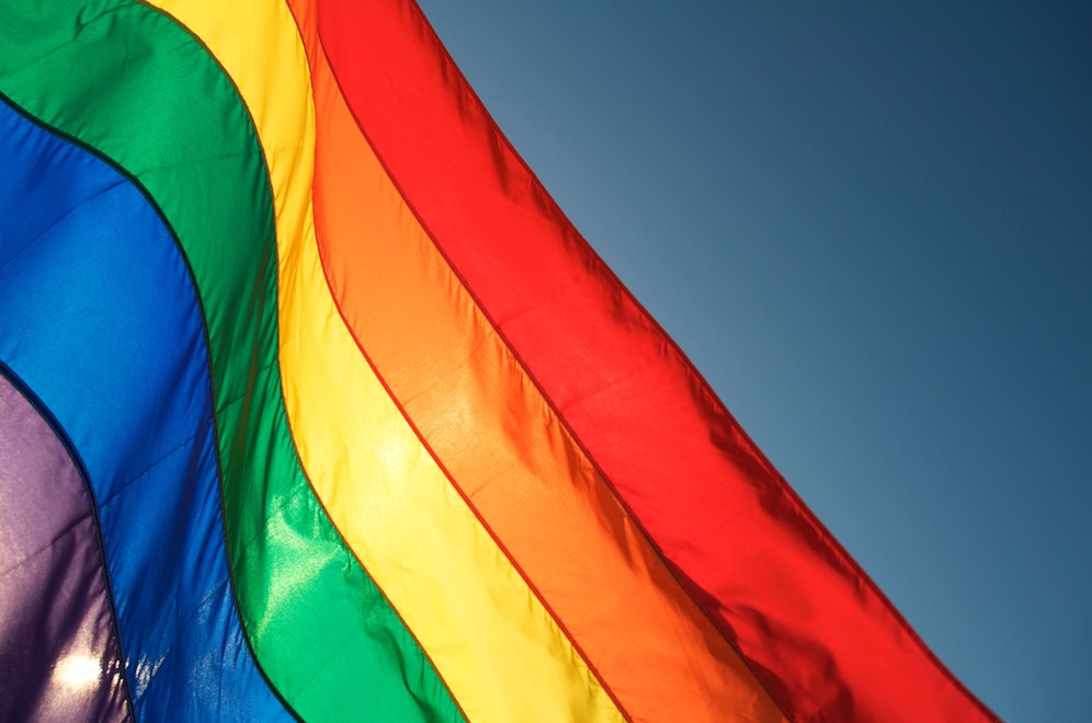 Eine Regenbogenfahne vor einer steirischen Universität wurde zur Zielscheibe von Unbekannten. (Symbolfoto)