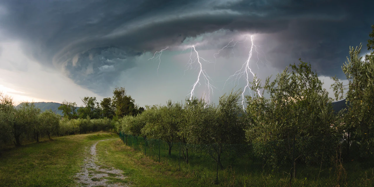 Erst Hitze, doch dann krachen "heftige Gewitter" - Vimarsana News