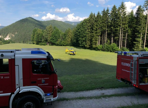 Der 28-Jährige wurde ins Spital geflogen.