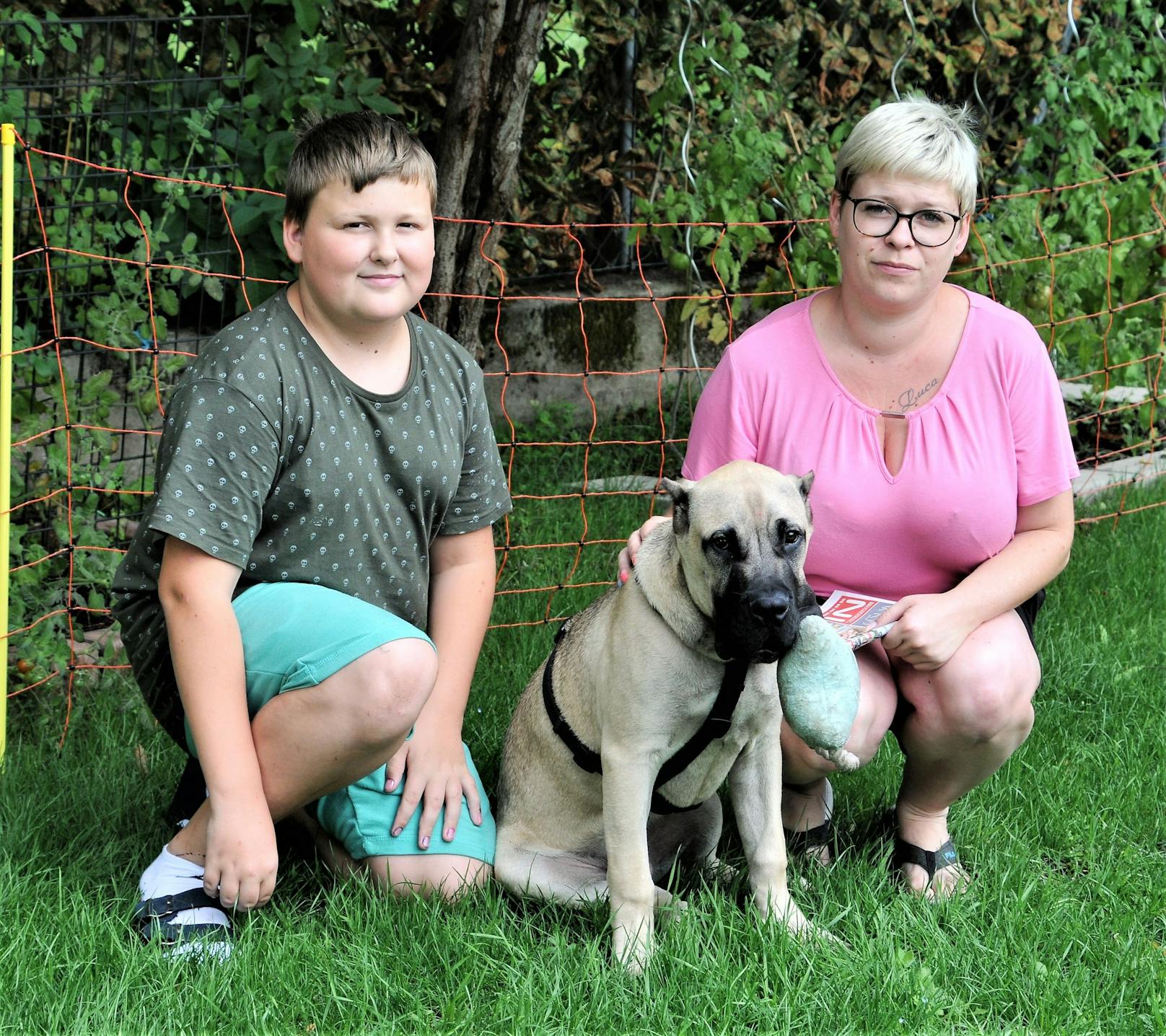 Bei Familie Loyen fand der Mastif-Mischling "Serrano" nun ein liebevolles Zuhause.