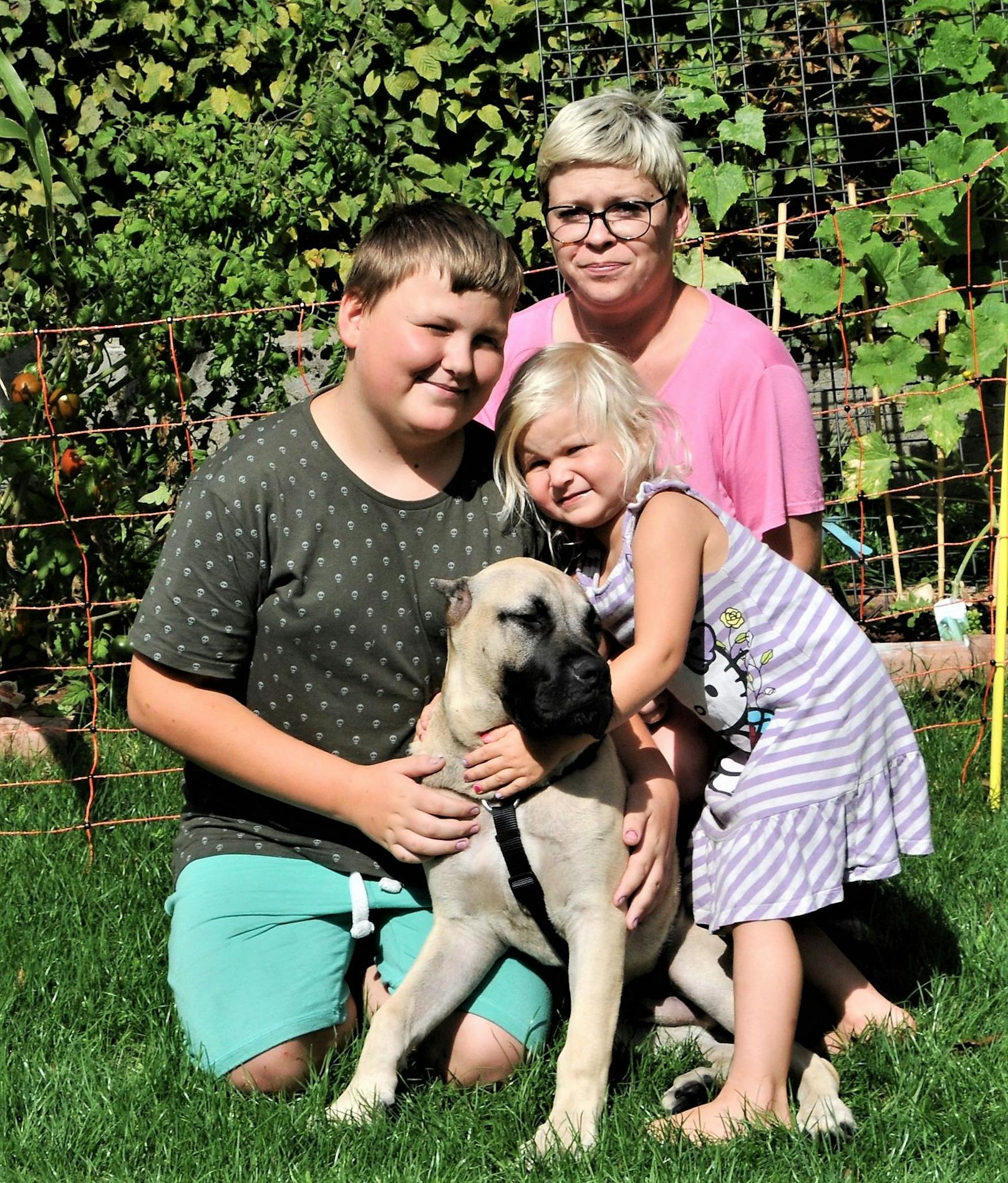 Bei Familie Loyen fand der Mastif-Mischling "Serrano" nun ein liebevolles Zuhause. Im Bild: Luca (12), Lisa (3) und Mama Jennifer (30)