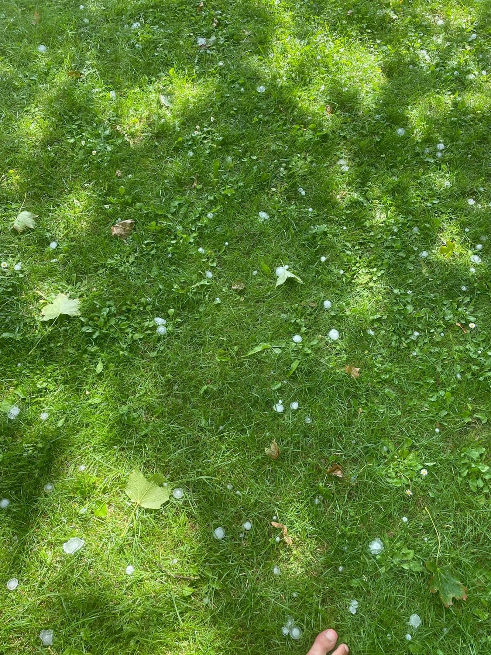 Hagel im Höpflerbad (Liesing)