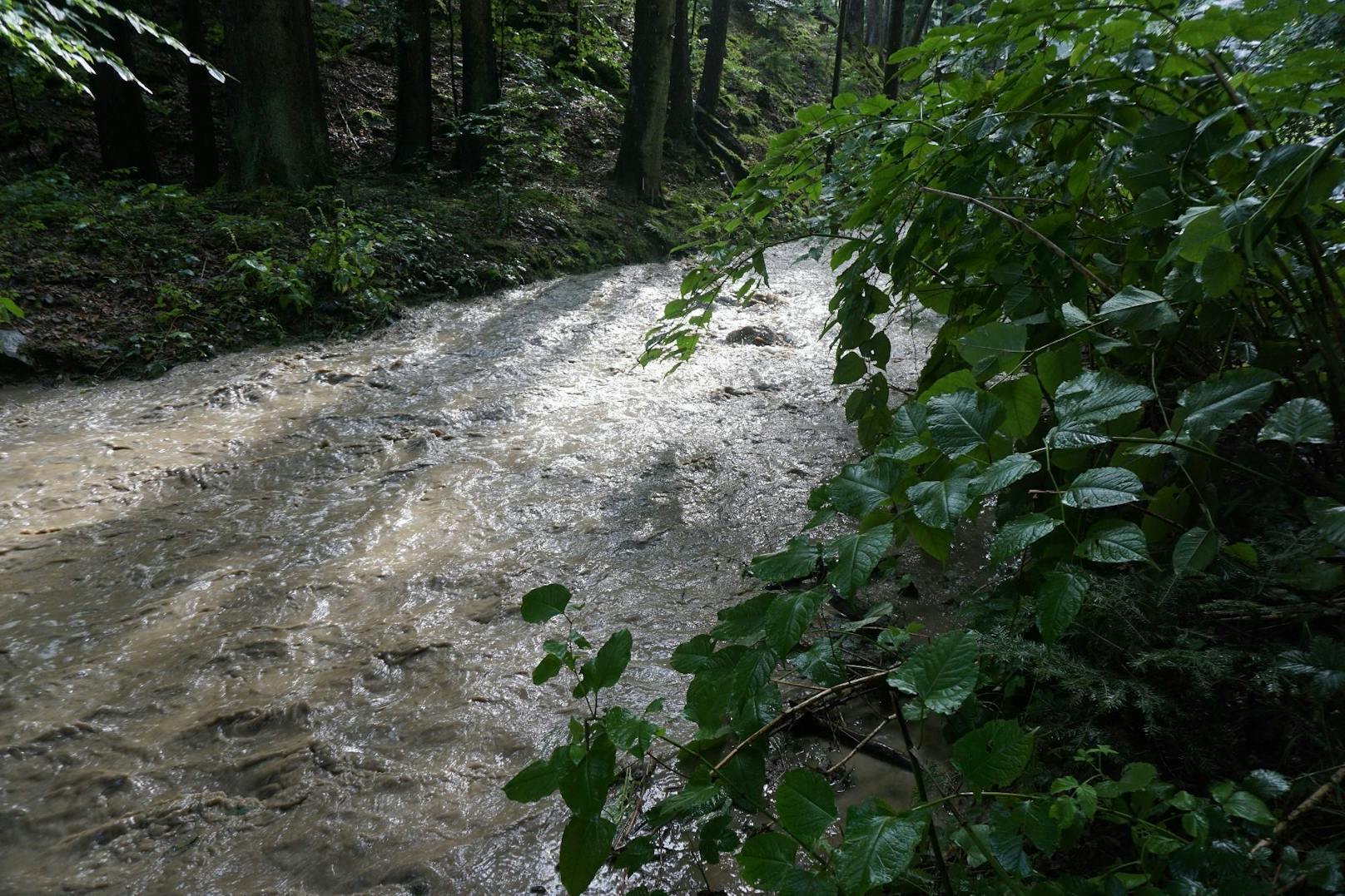 Unwetter im Bezirk Neunkirchen