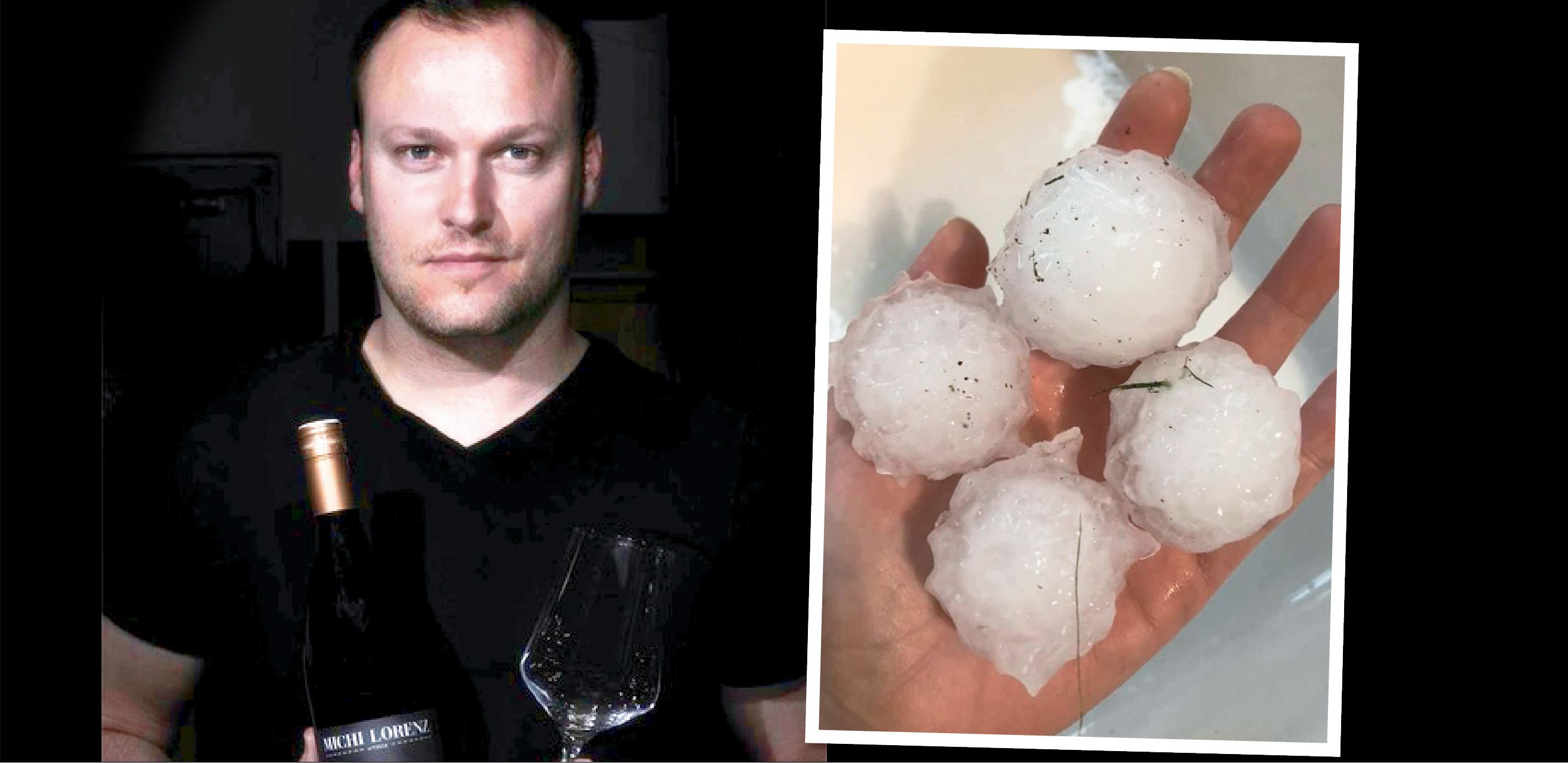 Weinbauer Michael Lorenz