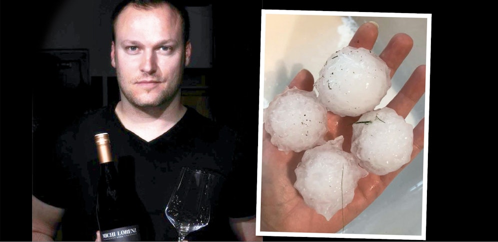 Weinbauer Michael Lorenz