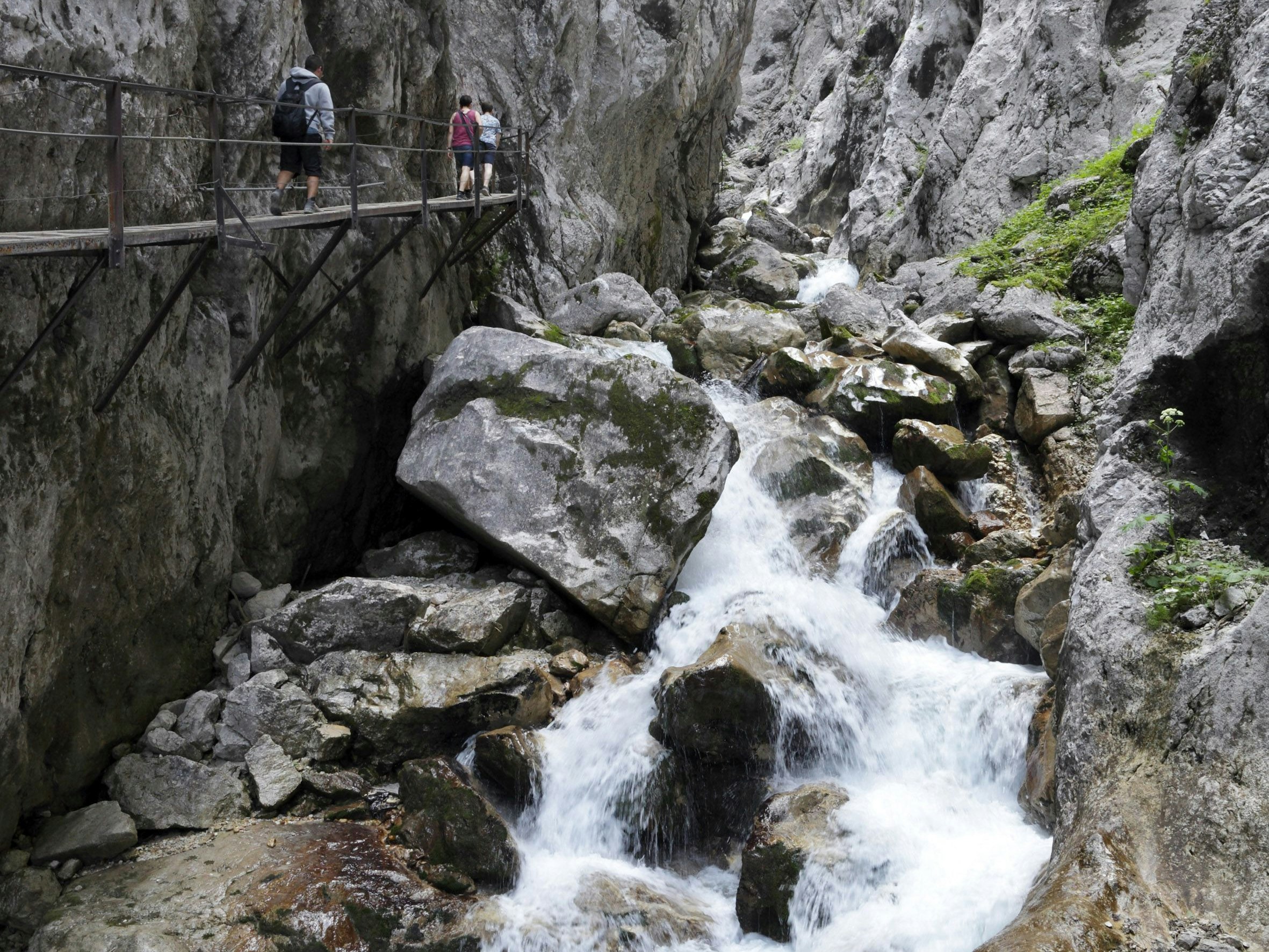 Download von www.picturedesk.com am 16.08.2021 (18:21).  17.07.2015, Hoellentalklamm, Bayern, Deutschland - Hammersbach in der Hoellentalklamm. 00P150717D086CARO.JPG [MODEL RELEASE: NO, PROPERTY RELEASE: NO (c) Caro Fotoagentur / Andreas Muhs - 20151023_PD4964 - Rechteinfo: Rights Managed (RM)