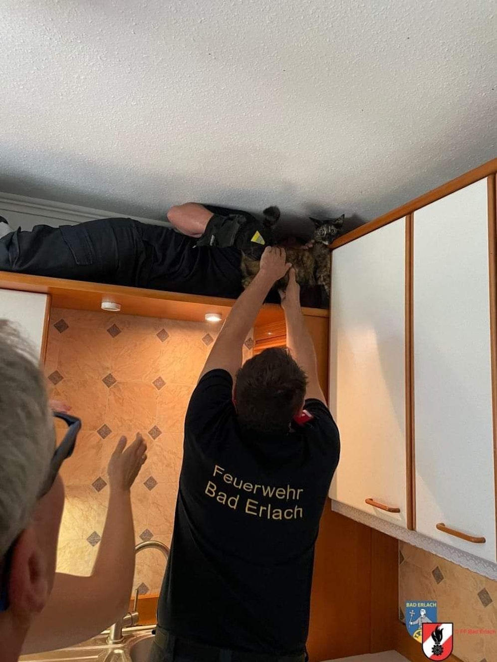 Katzenrettung in Bad Erlach