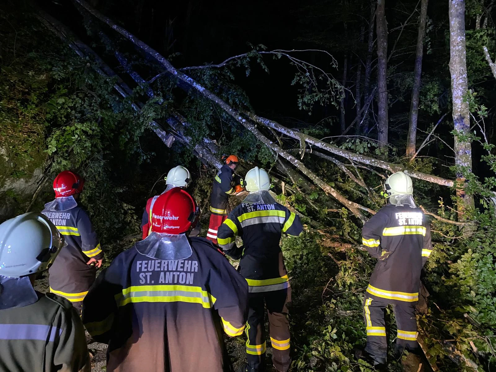 Die Feuerwehr bei den umgestürzten Bäumen.