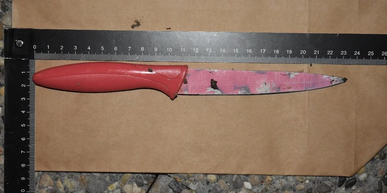 Grillerei unter Freunden in Wien endet mit Messerstich - Vimarsana News