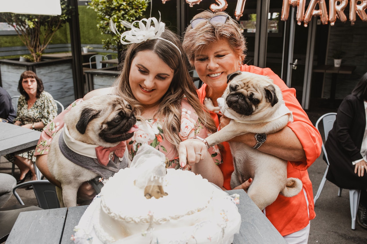 Heute.at - Ich erkläre Sie hiermit zu Mops und... Mops!