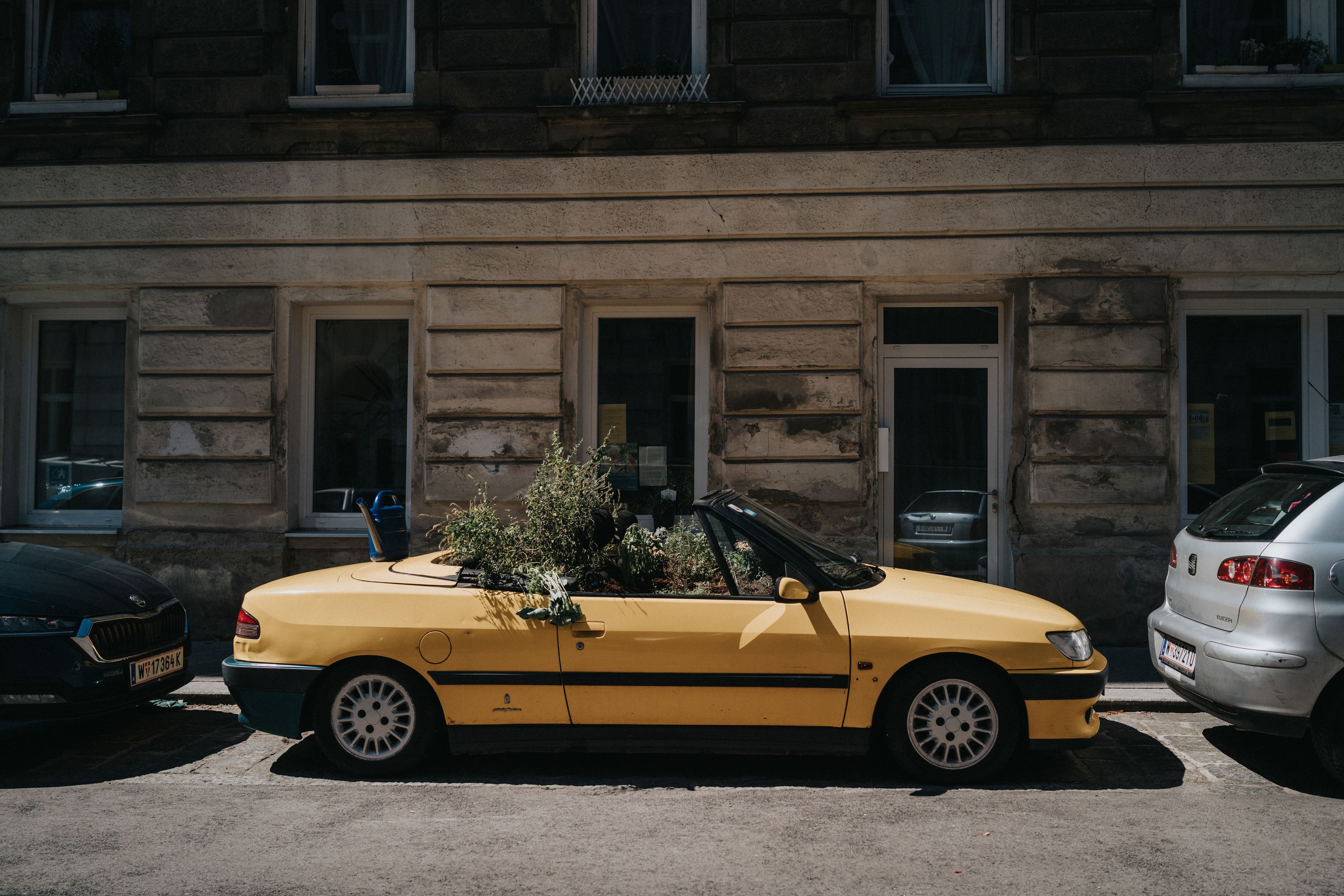 Seit Anfang August sorgt ein bepflanzter Peugeot im Alsergrund für Staunen und Kopfschütteln.