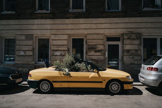 Seit Anfang August steht der bepflanzte Peugeot in Wien-Alsergrund. Um nicht abgeschleppt zu werden, hat der Besitzer es umgeparkt.