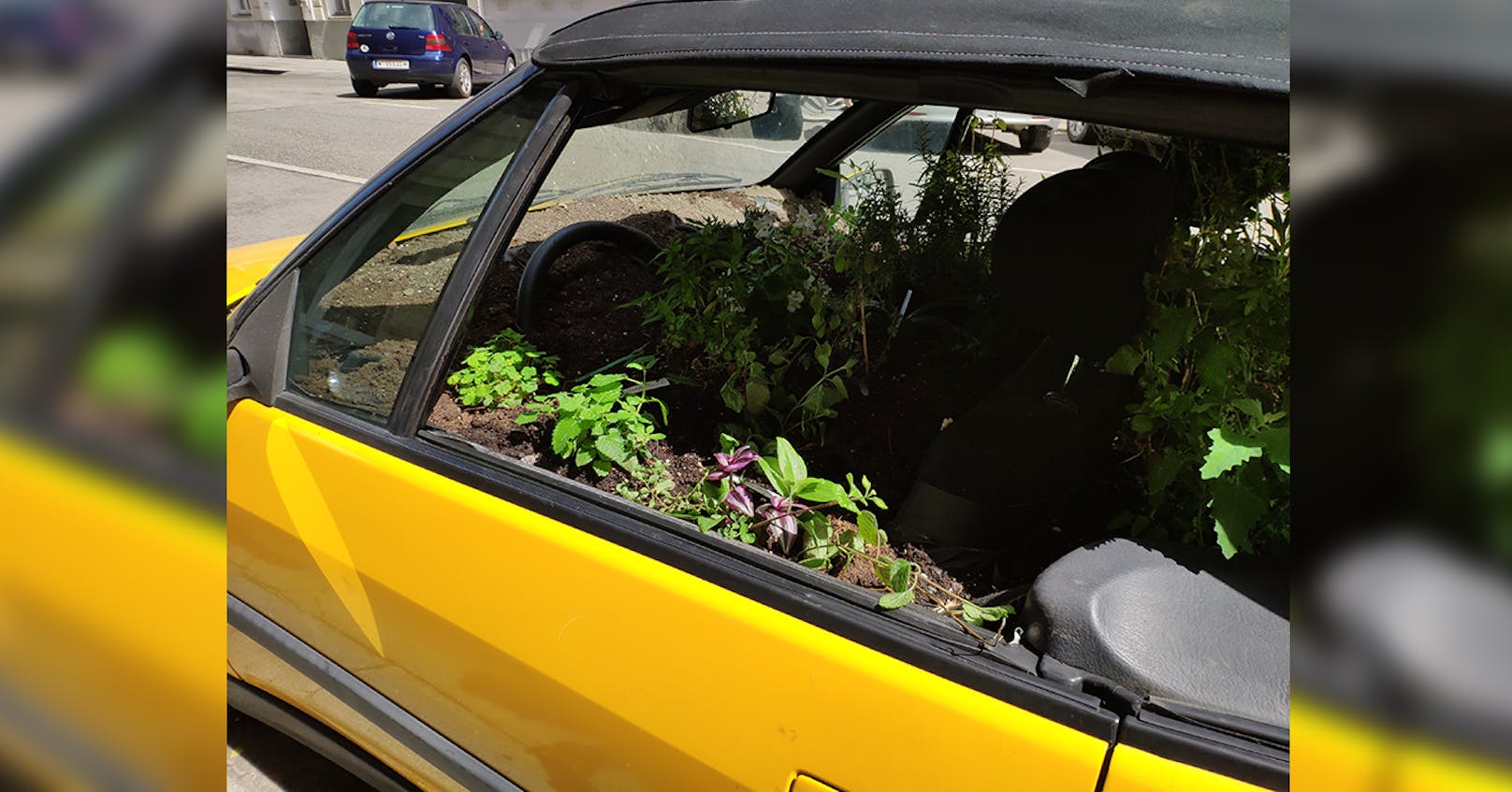 Dabei steckt hinter dem bepflanzten Peugeot eine nette Idee für den Bezirk.