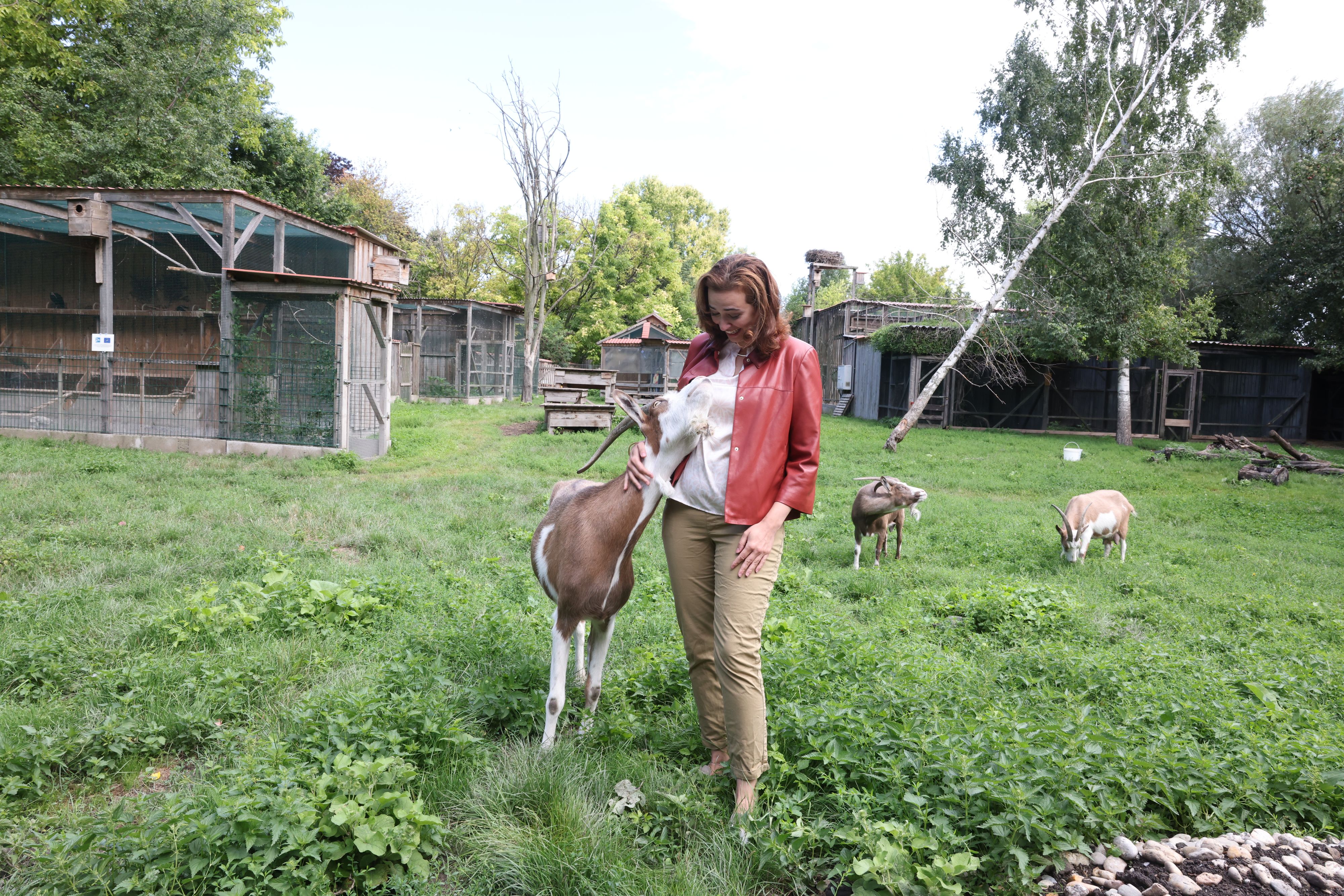  Alma Zadić bei ihrem Besuch der Eulen- und Greifvogelstation Haringsee 