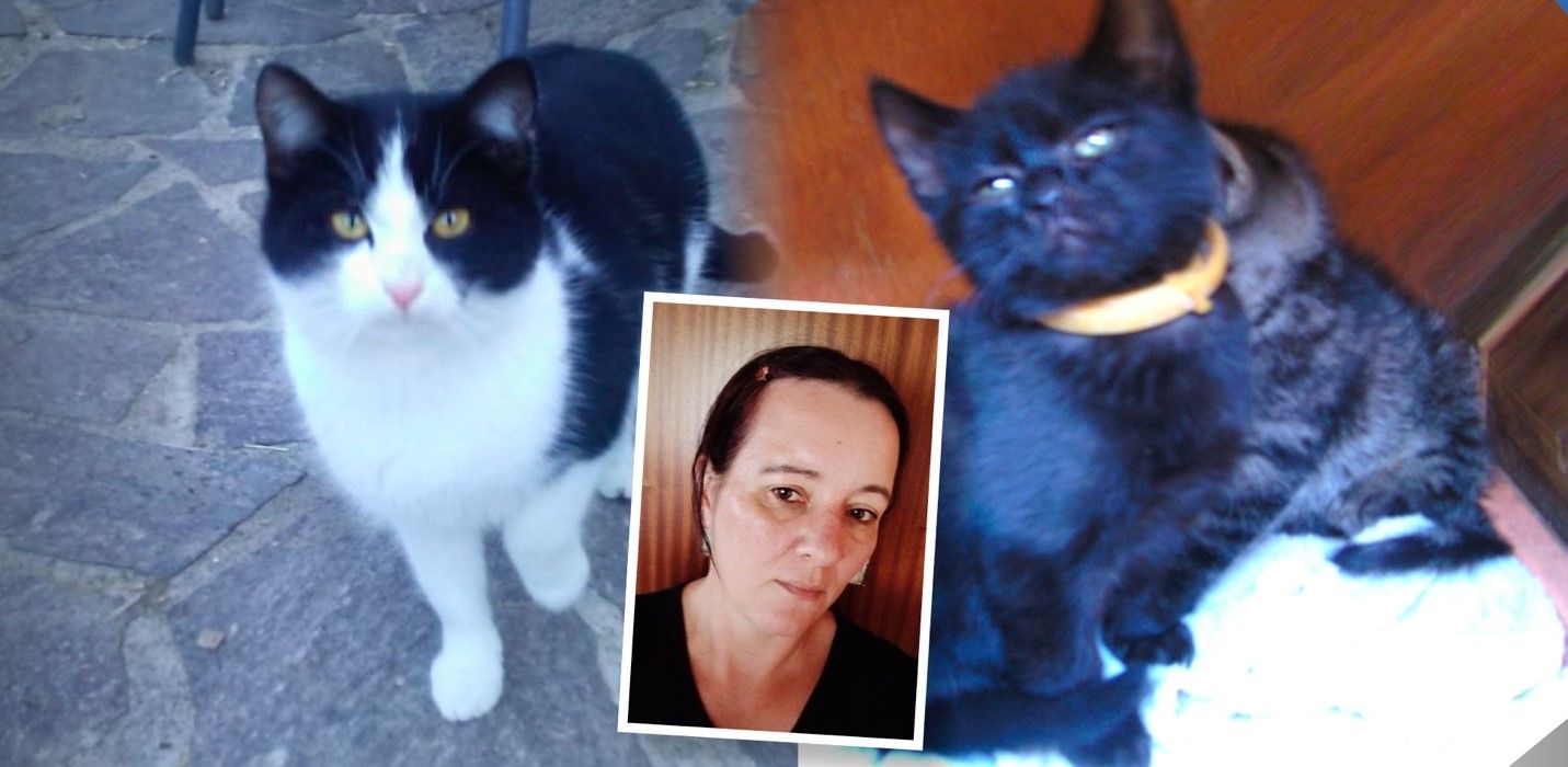 Alle drei Katzen von Besitzerin Cornelia I. wurden vergiftet.