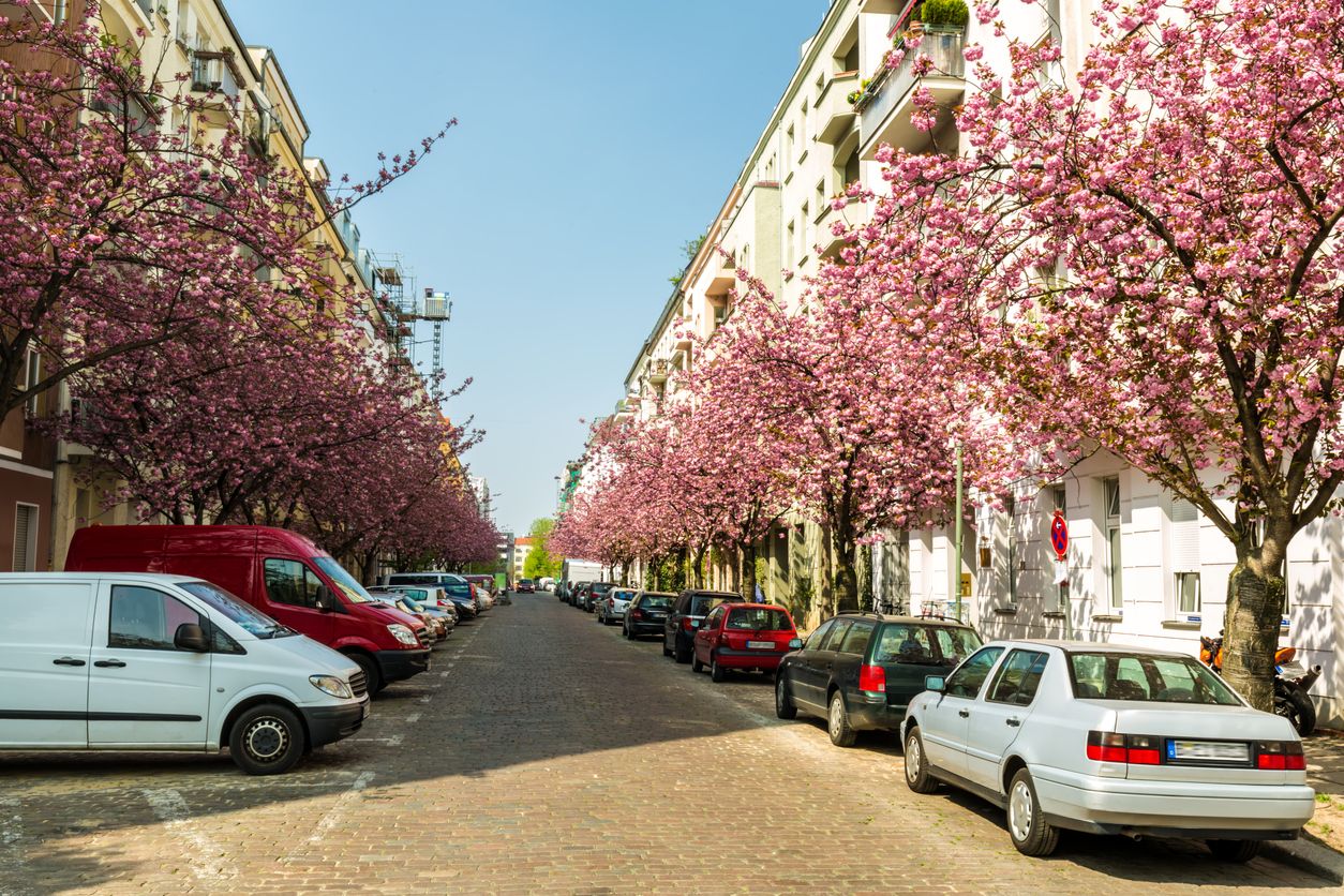Die geparkten Autos waren einem 77-Jährigen ein Dorn im Auge.