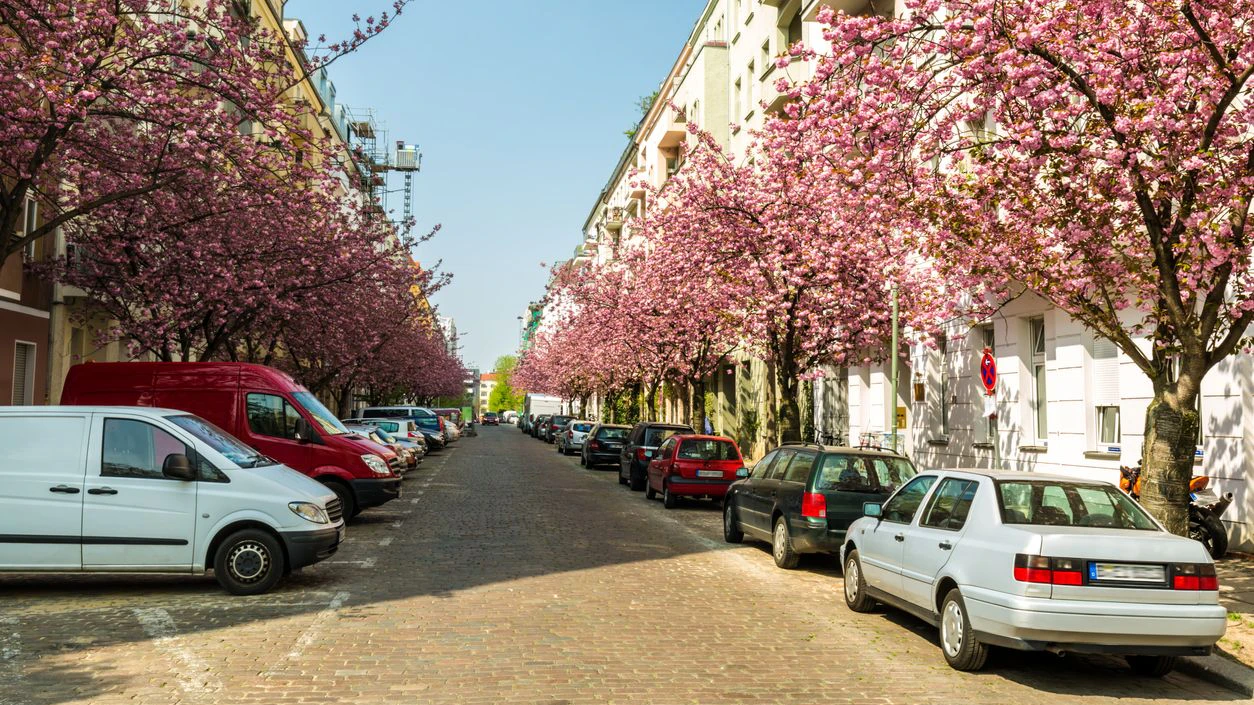 Die geparkten Autos waren einem 77-Jährigen ein Dorn im Auge.