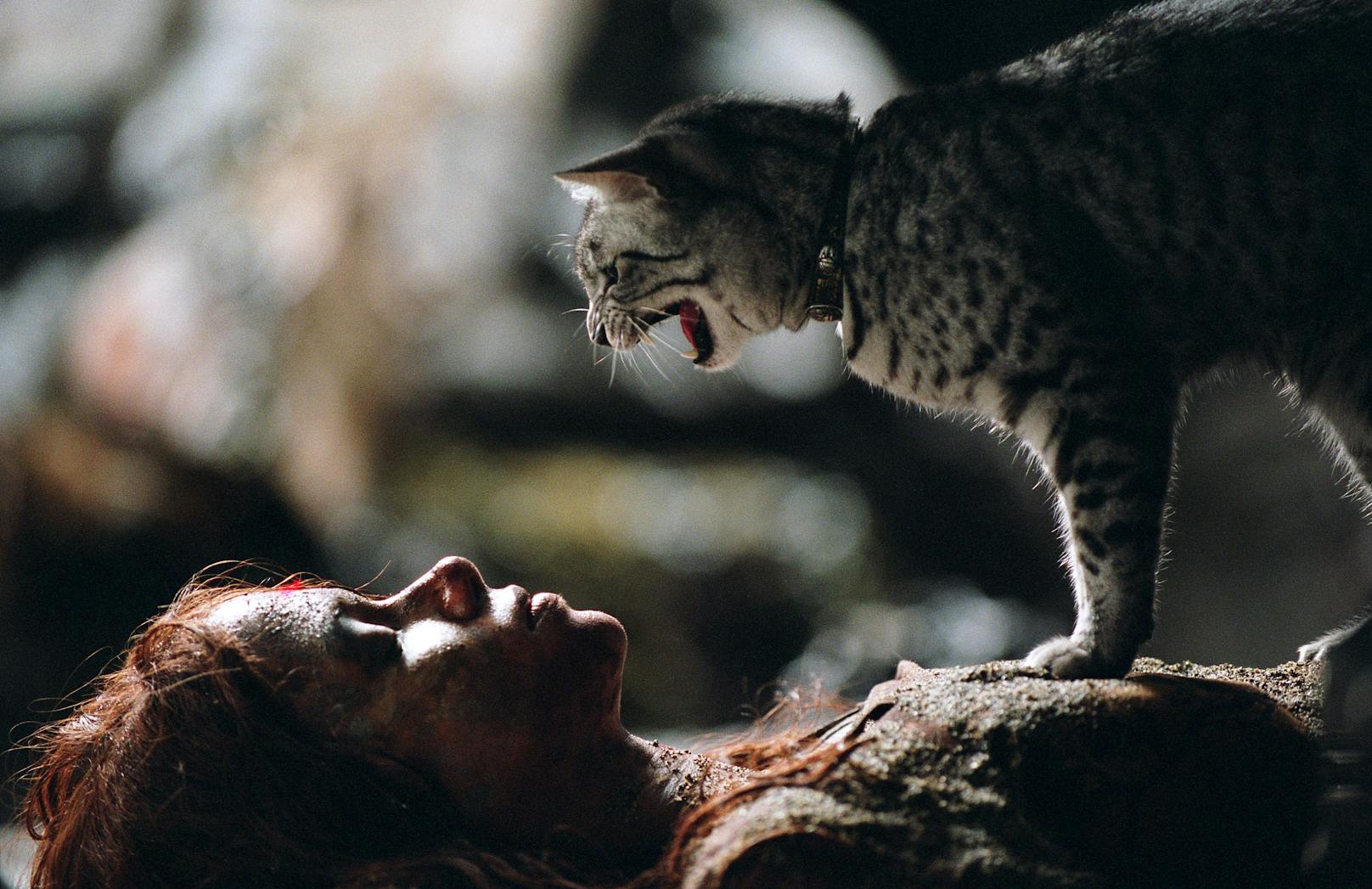 Im Blockbuster "Catwoman" (2004) mit Halle Berry in der Hauptrolle, hauchte die ägyptische Mau-Katze "Midnight" der schüchternen Titelheldin das neue Leben als Katzenfrau ein.&nbsp;