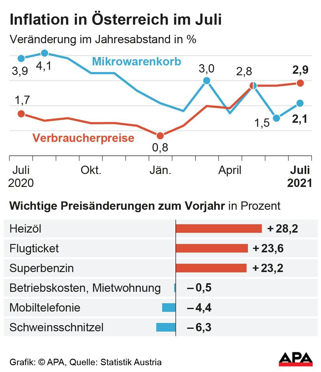 Verbraucherpreisindex VPI und Mikrowarenkorb, Entwicklung nach Monaten seit dem Vorjahr.