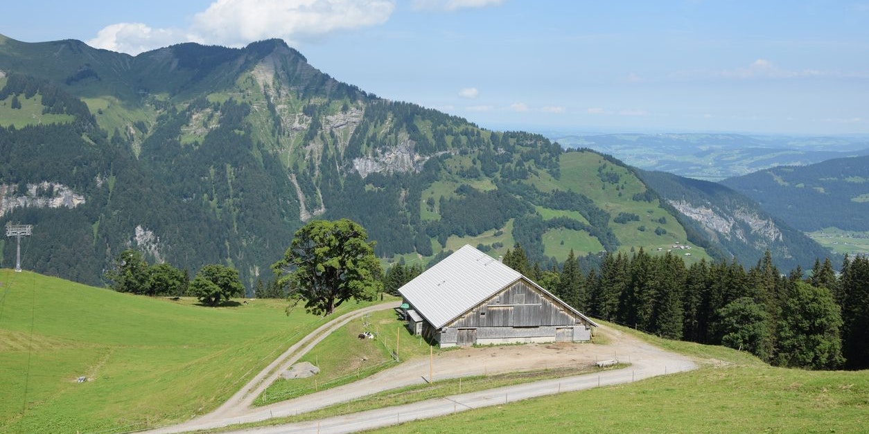 Vater und Sohn wollten im Gemeindegebiet von Mellau wandern gehen.