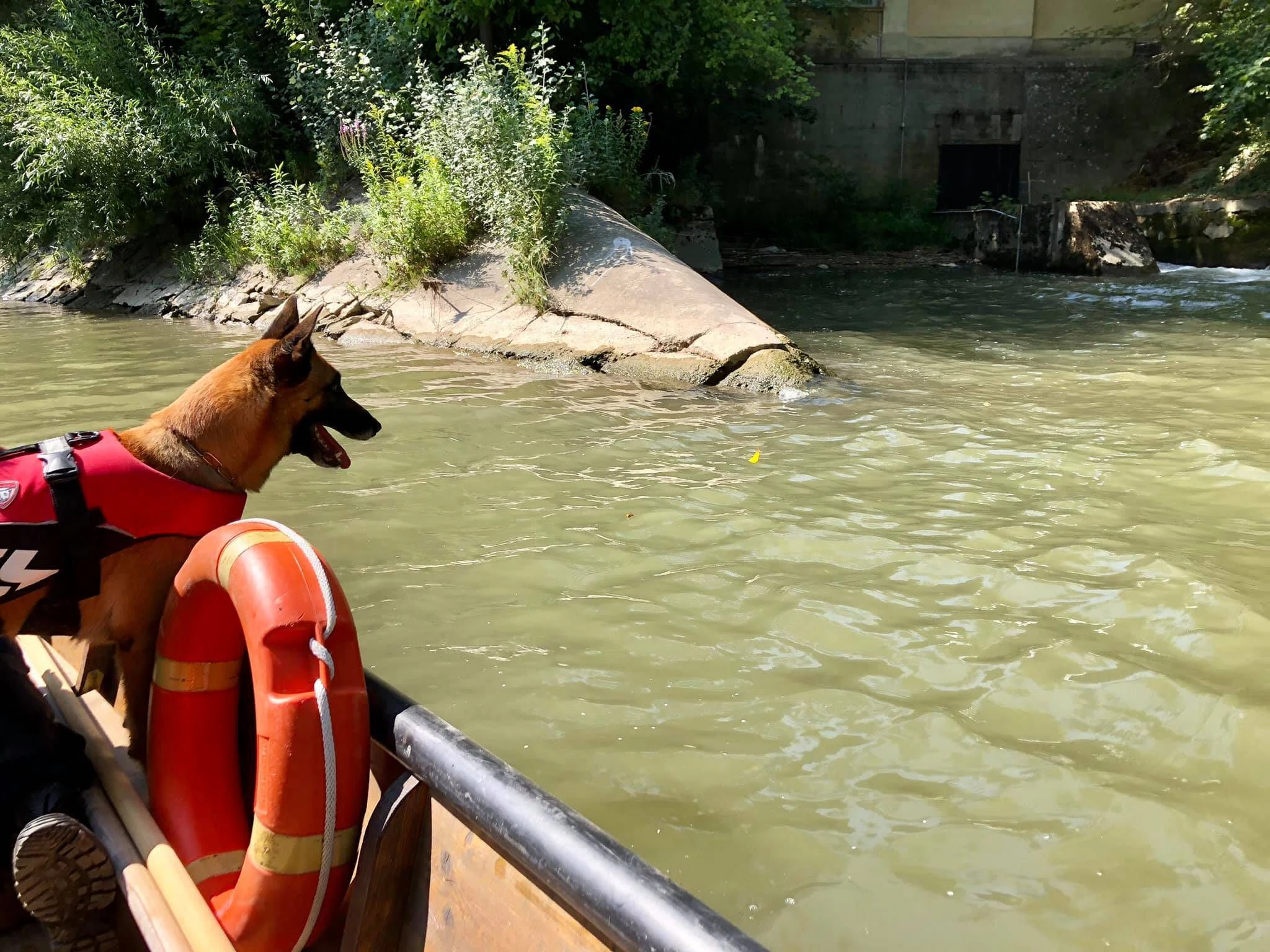 Ein Großaufgebot an Einsatzkräften samt Hundestaffeln suchte nach dem Vermissten.