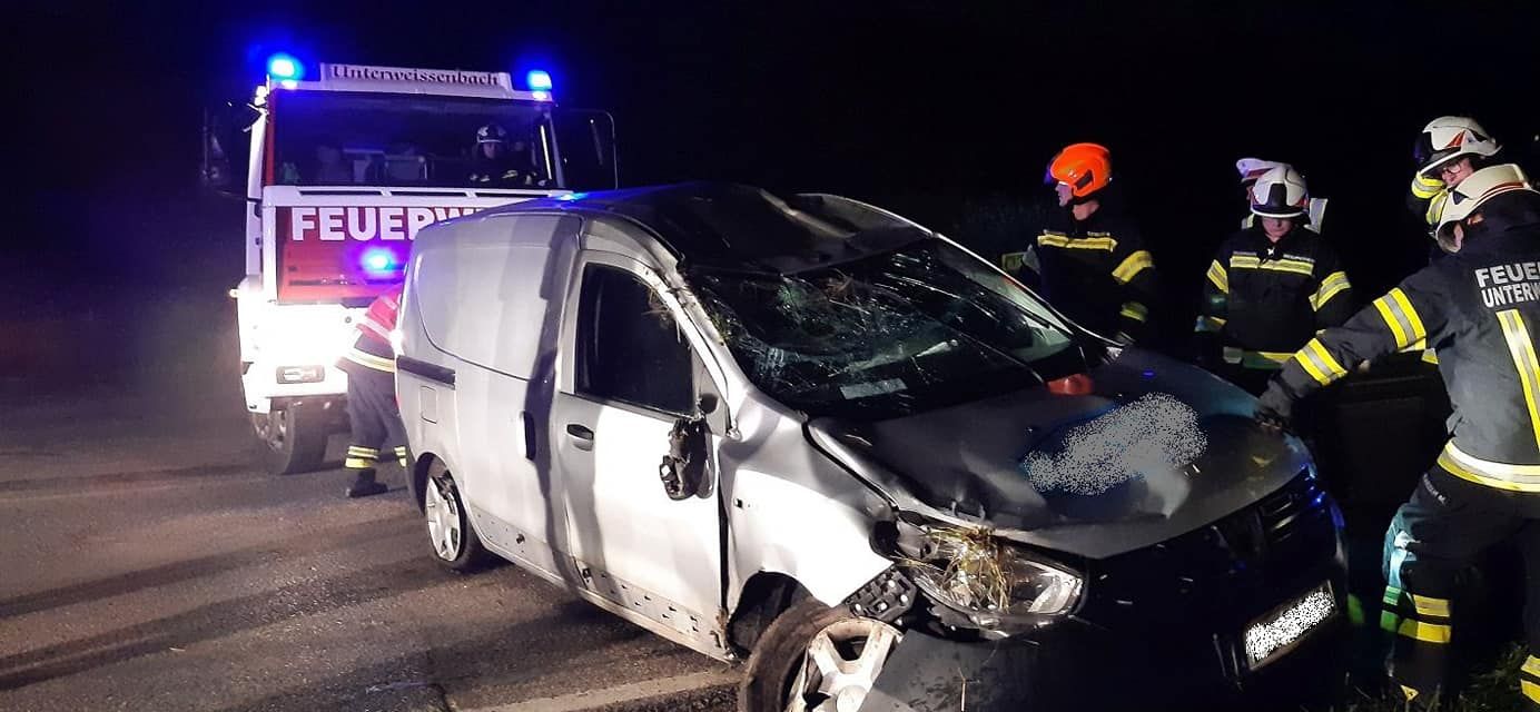 Der Alko-Lenker wich laut eigenen Aussagen einem Reh aus.