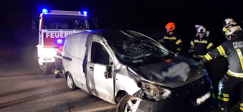 Der Alko-Lenker wich laut eigenen Aussagen einem Reh aus.