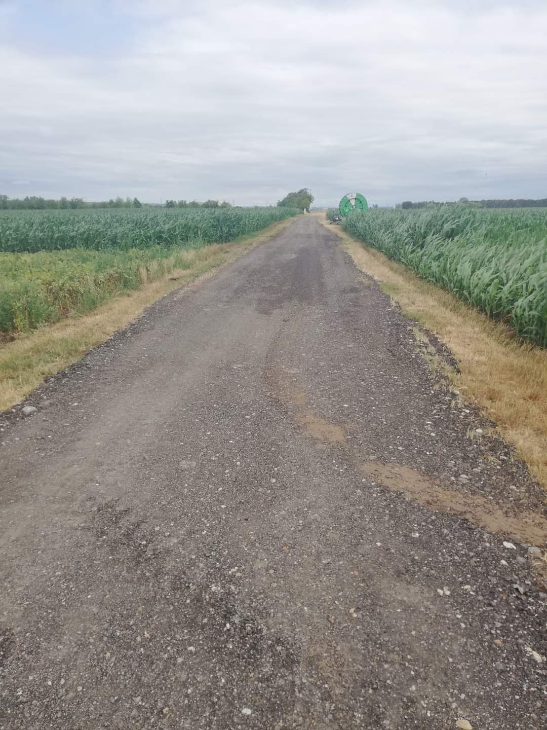 Feldweg wurde asphaltiert: Die Grünen Deutsch-Wagram kritisieren die Aktion.