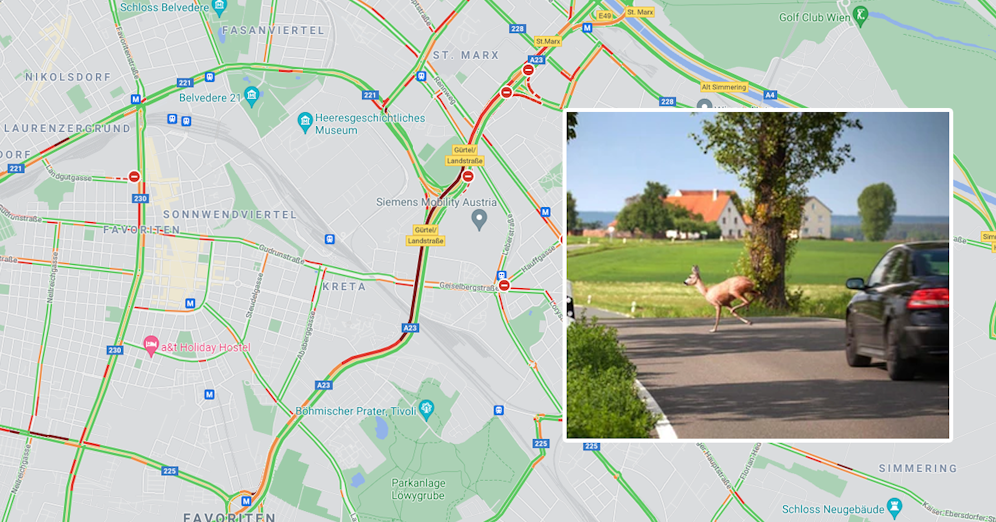 Ein Reh sorgte für Aufregung auf der Autobahn (Symbolbild)