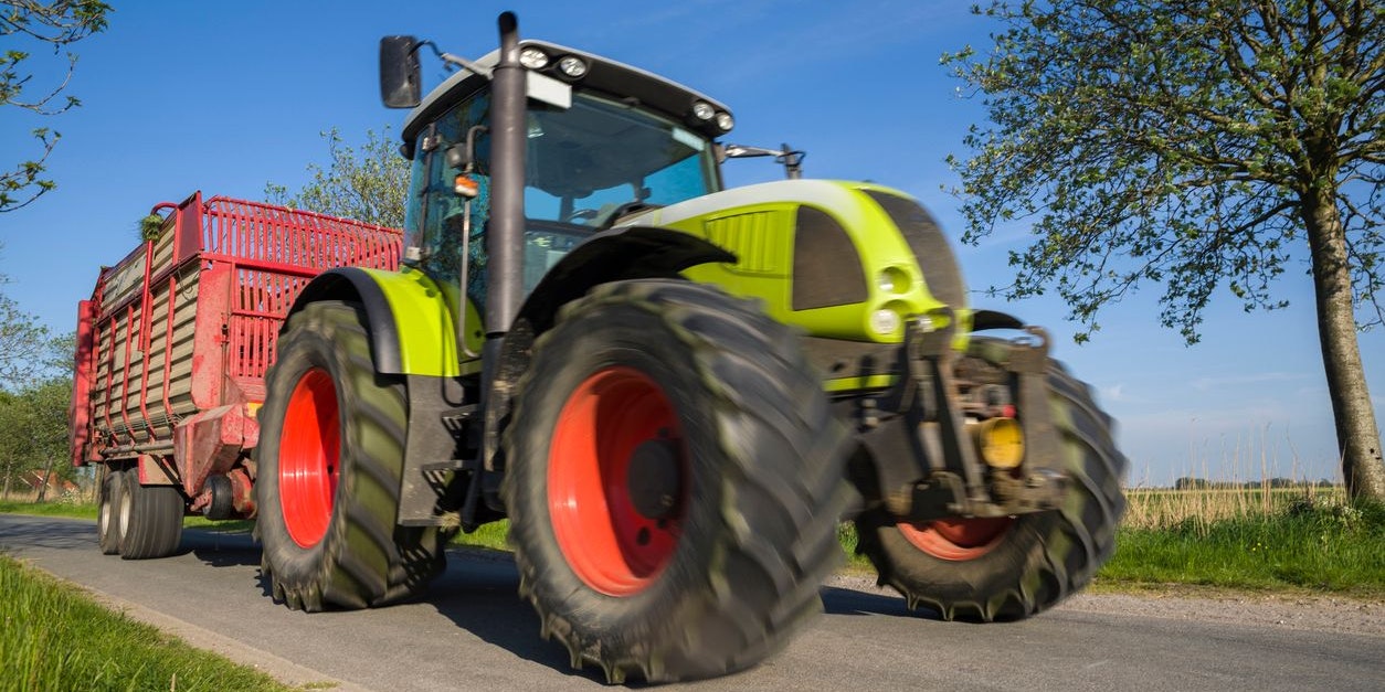 Eine plötzliche Bewegung ihres Hundes kostete der Frau das Leben.