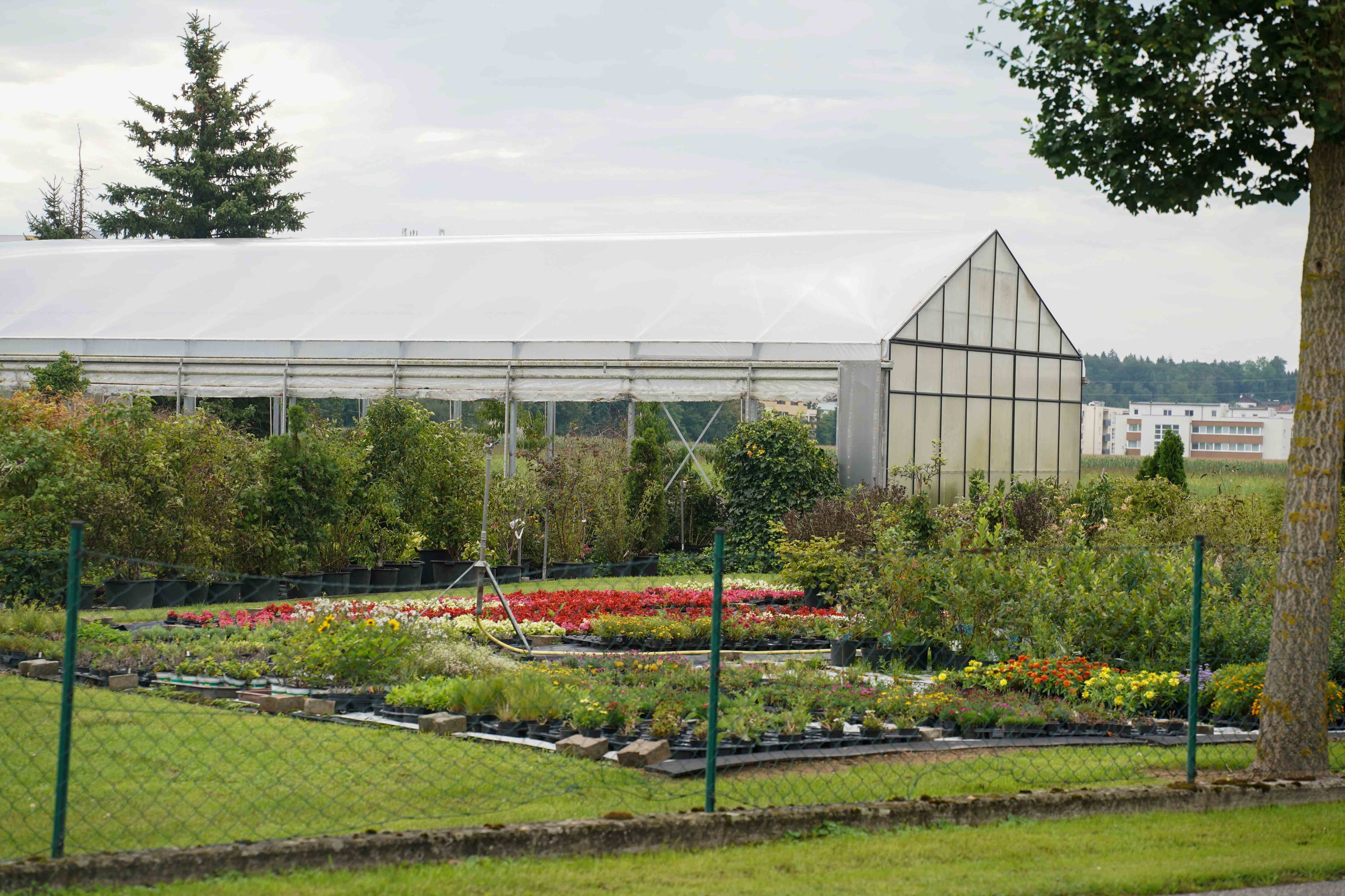 In einer Gärtnerei im Bezirk Rohrbach war es zur Messerattacke auf den Besitzer gekommen.