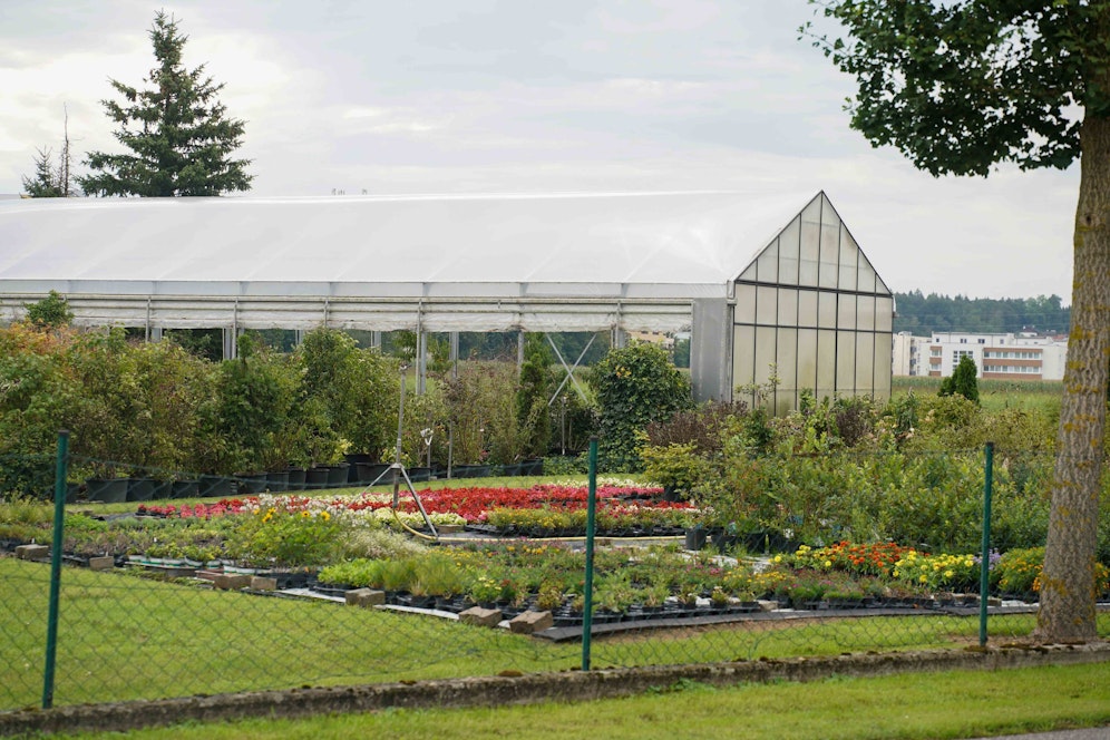 In einer Gärtnerei im Bezirk Braunau war es zur Messerattacke auf den Besitzer gekommen.
