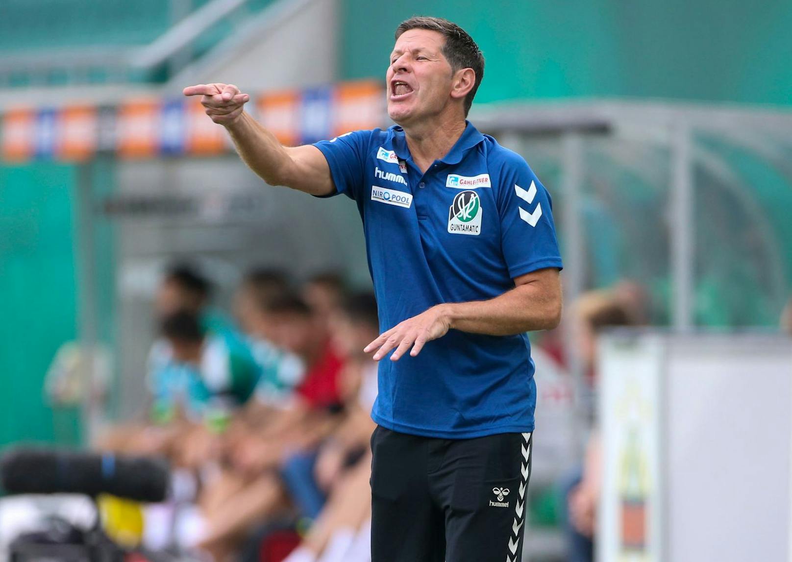 Ried-Trainer Andreas Heraf