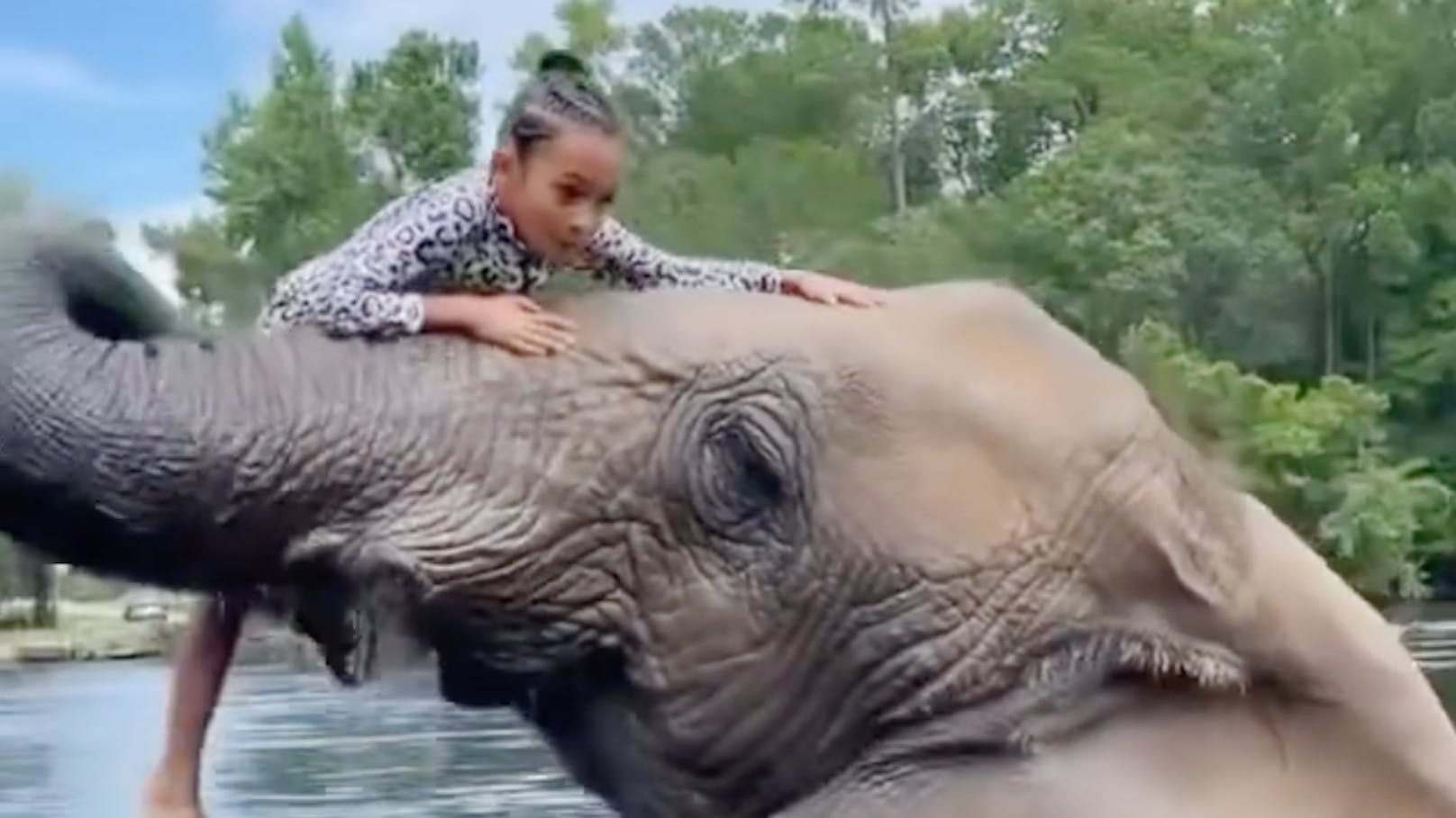 Chris Browns Tochter Royalty (7) beim Ritt auf einem Elefanten